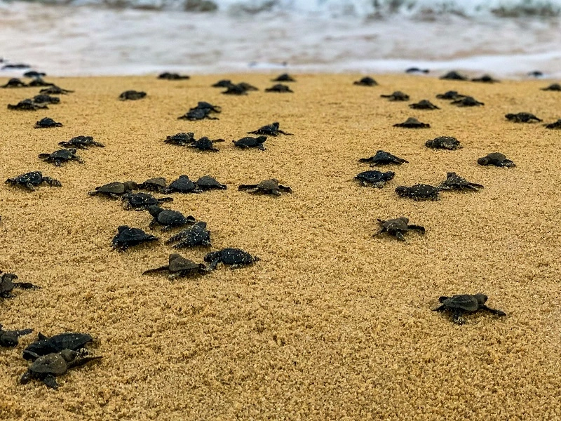 Nosy Iranja Excursion