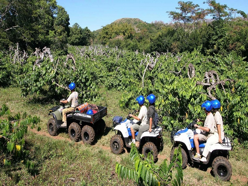 Quad Biking Adventure