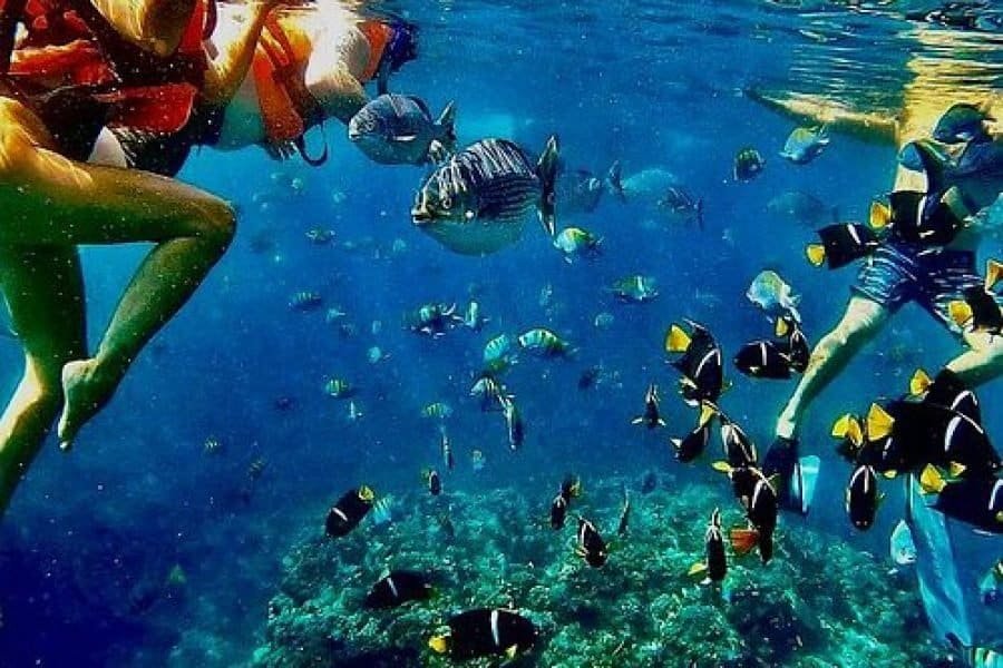 Scuba Diving & Snorkeling in Diego Suarez