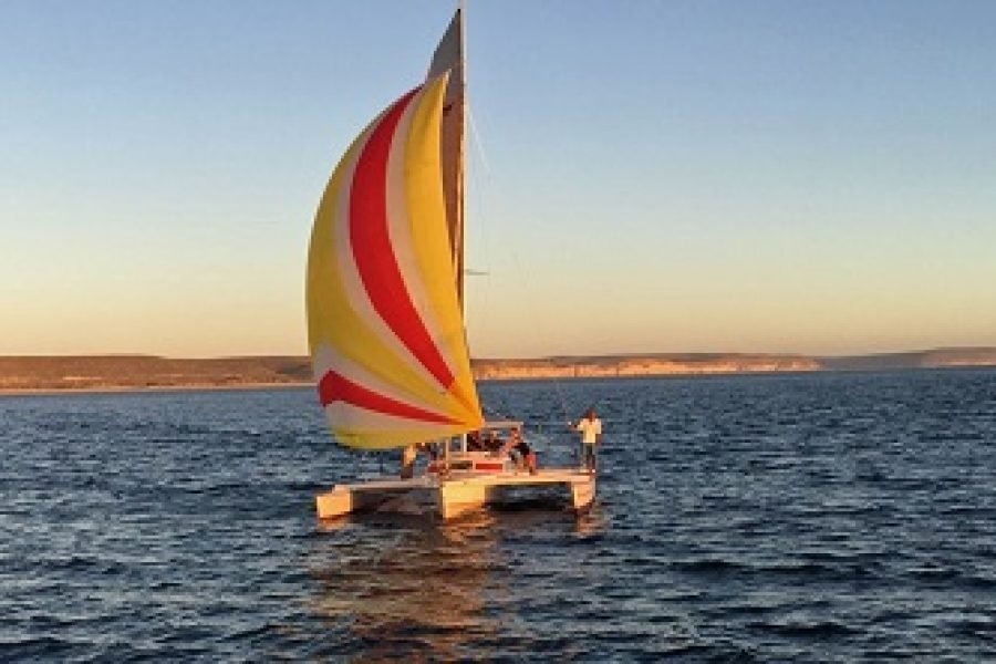 Boat Trips to Nosy Ve & Nearby Islands from Tuléar